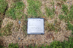 표석 이미지