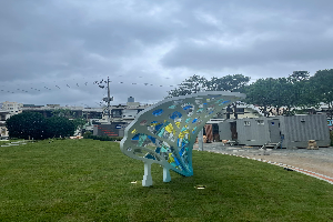 우측 이미지