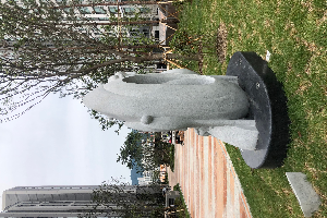 후면-좌 이미지
