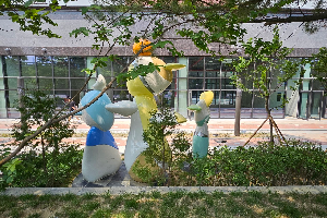 후면 이미지