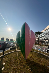 후면-좌 이미지