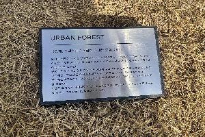 표석 이미지