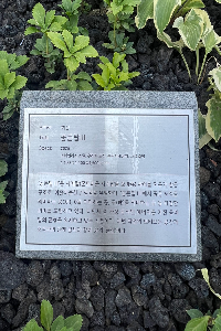 표석 이미지