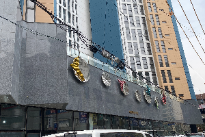후면 이미지