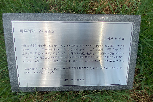 표석 이미지