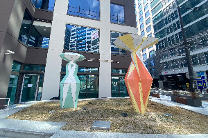 우측 이미지