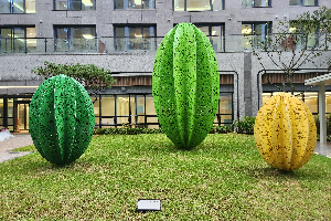 전경 이미지