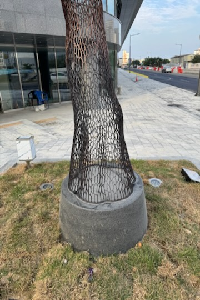 후면-좌 이미지