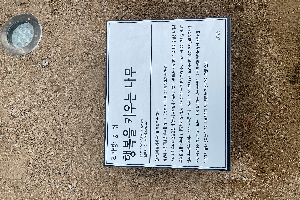 전면-좌 이미지