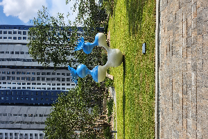 후면-우 이미지