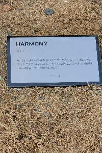 표석 이미지