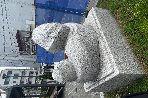 후면 이미지