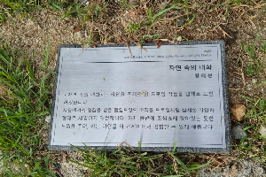표석 이미지