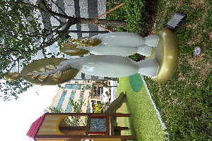 전면-좌 이미지