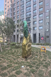 좌측 이미지