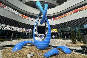 전면 이미지