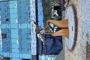 전경 이미지