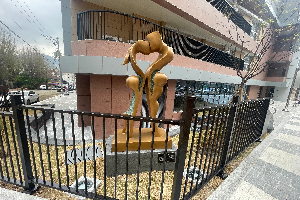 후면 이미지